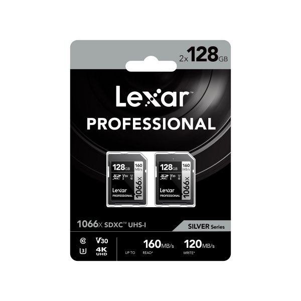 1066x SDXC 128 GB DP, V30 Professional Speicherkarte