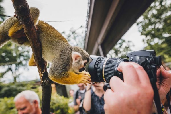 Einsteigerkurs im Tierpark 26.05.2019 10:00-16:00 Uhr