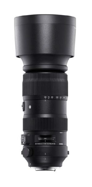 Sports 4,5-6,3/60-600 mm DG OS HSM Canon