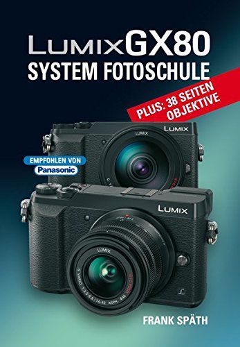 Kamerabuch Lumix GX80