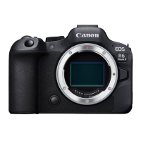 EOS R6 II Body